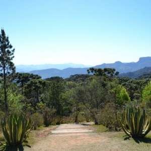 Mirante do Museu Felícia Leirner com vista para a Pedra do Baú. Há diversas espécies de árvores e flores, como araucária, liquidâmbar, pinho bravo, jasmim amarelo. É possível avistar as montanhas da Serra da Mantiqueira.