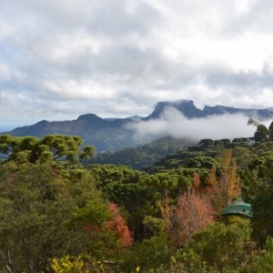 Mirante do Museu Felícia Leirner, com vista para a Pedra do Baú. Há diversas espécies de árvores como araucárias, liquidâmbar, pinho bravo.