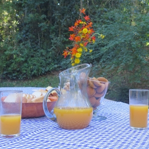 Mesa de piquenique com pão, biscoitos, rosquinhas, jarra de suco e um vaso com flor.