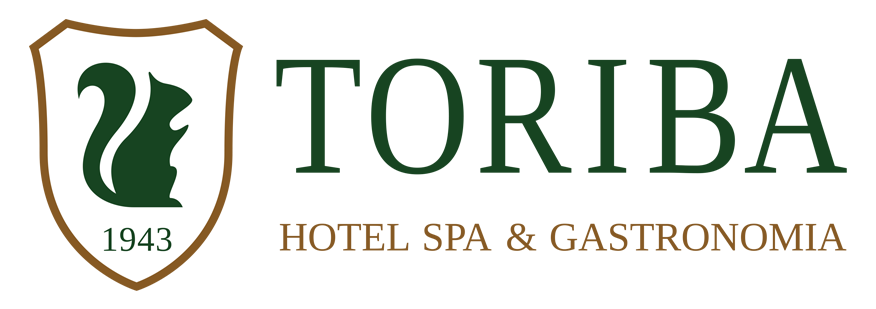 Logo Hotel Toriba