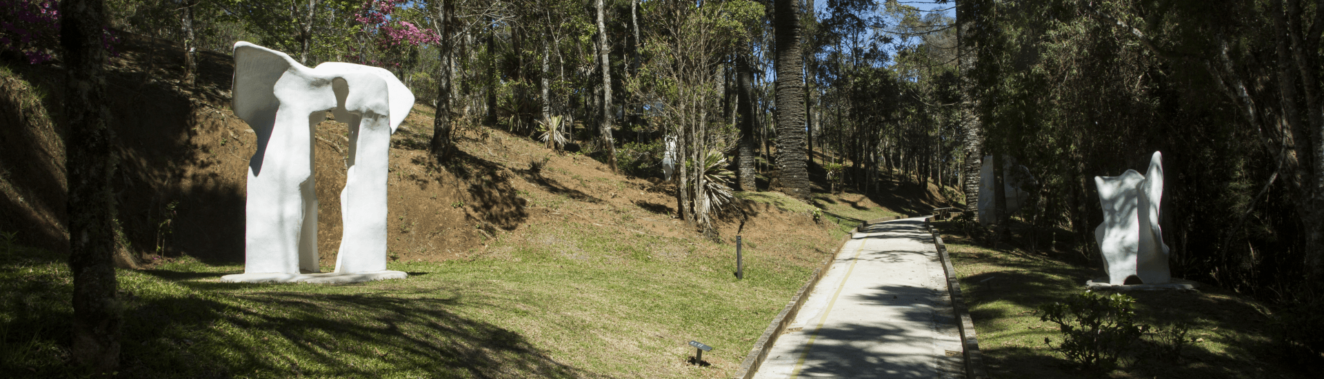 Alameda com esculturas da fase orgânica de Felícia Leirner