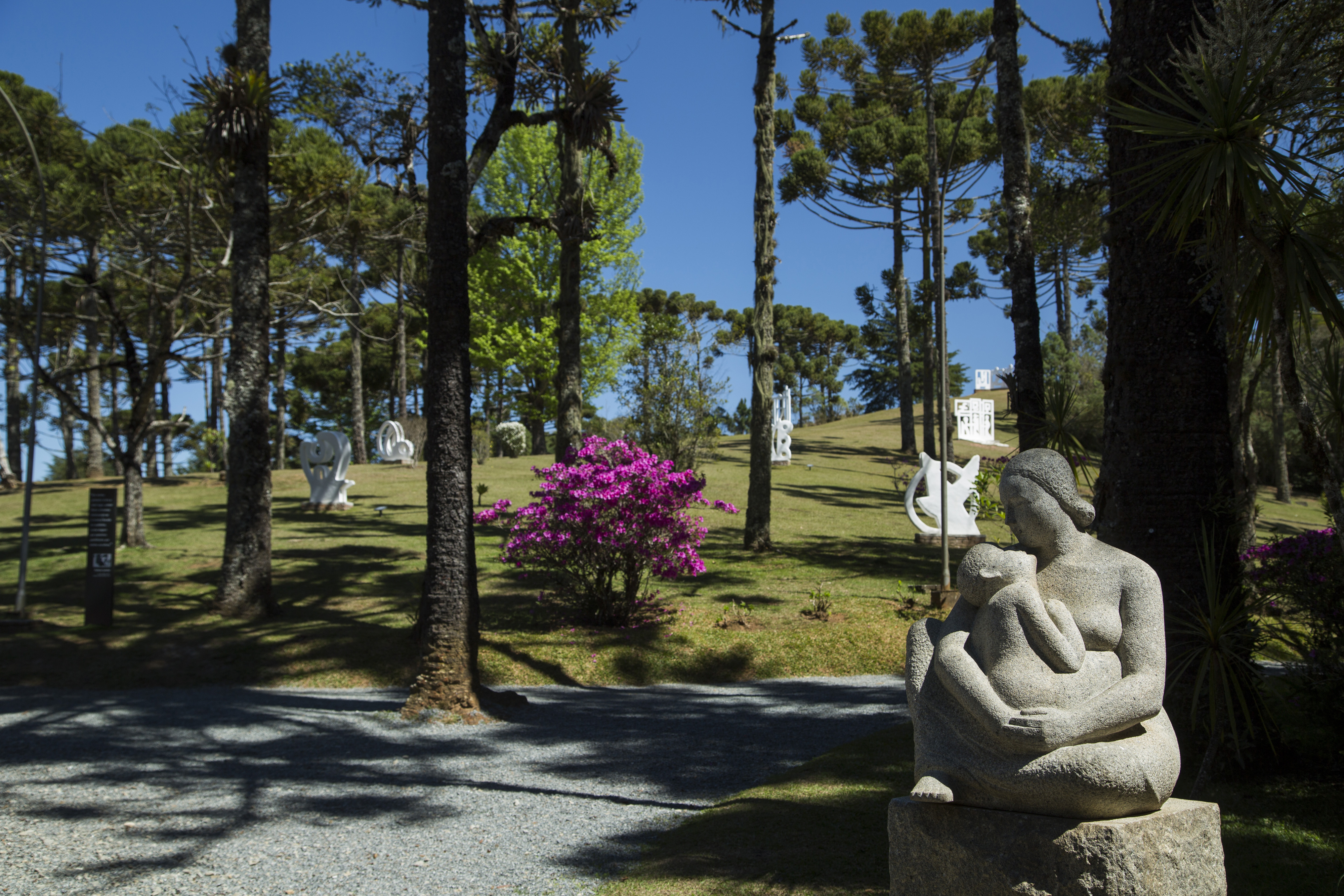 Jardim de esculturas do Museu Felícia Leirner