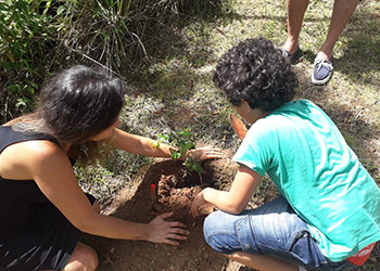 Semana do Meio Ambiente