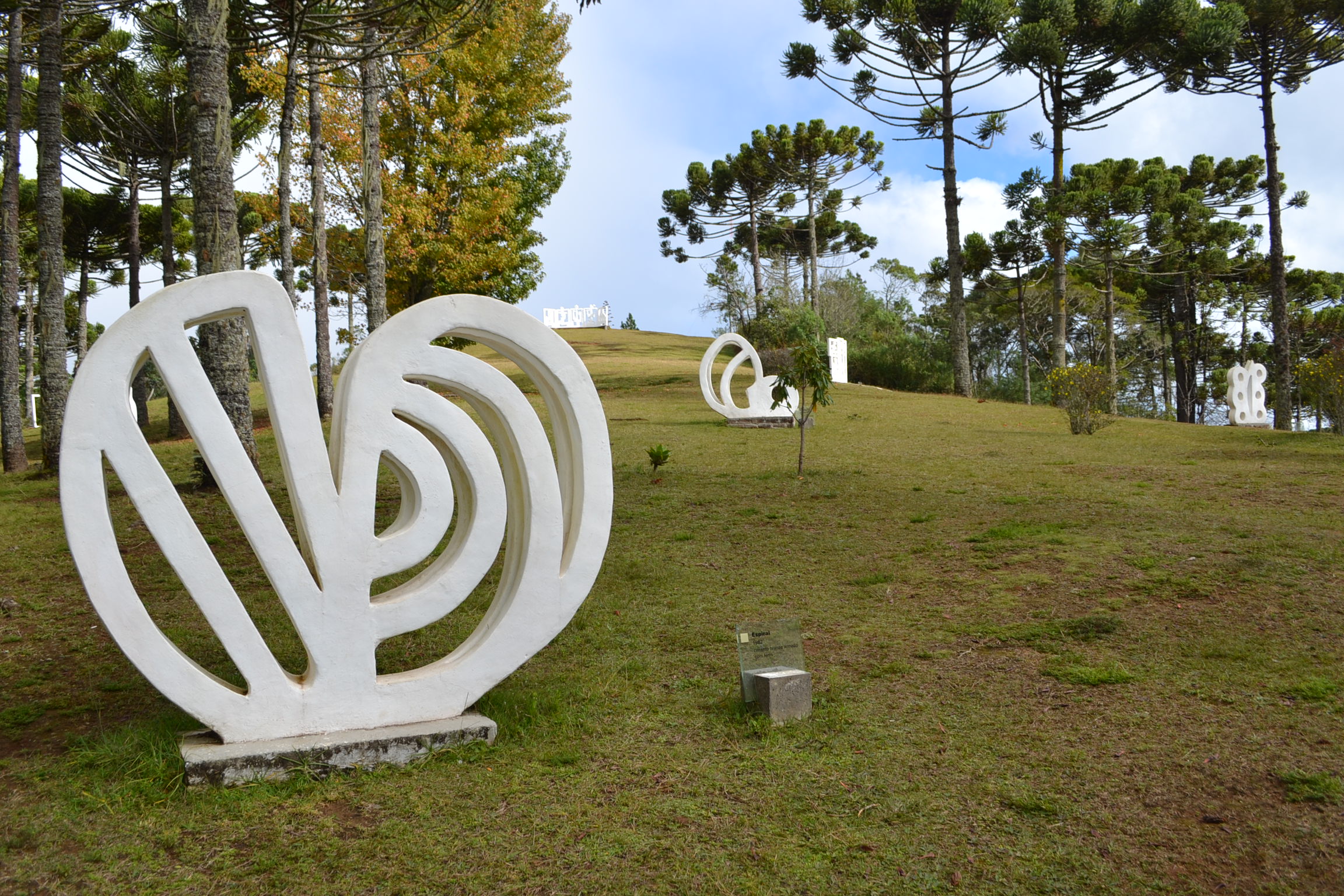 Jardins de esculturas do Museu Felícia Leirner composto por um céu azul com alguma nuvens e diversas araucárias ao redor. É possível ver cinco esculturas ao entorno do jardim. Sendo que todas elas são feitas de cimento branco e possuem concavidades vazadas na qual é possível ver a natureza ao redor.