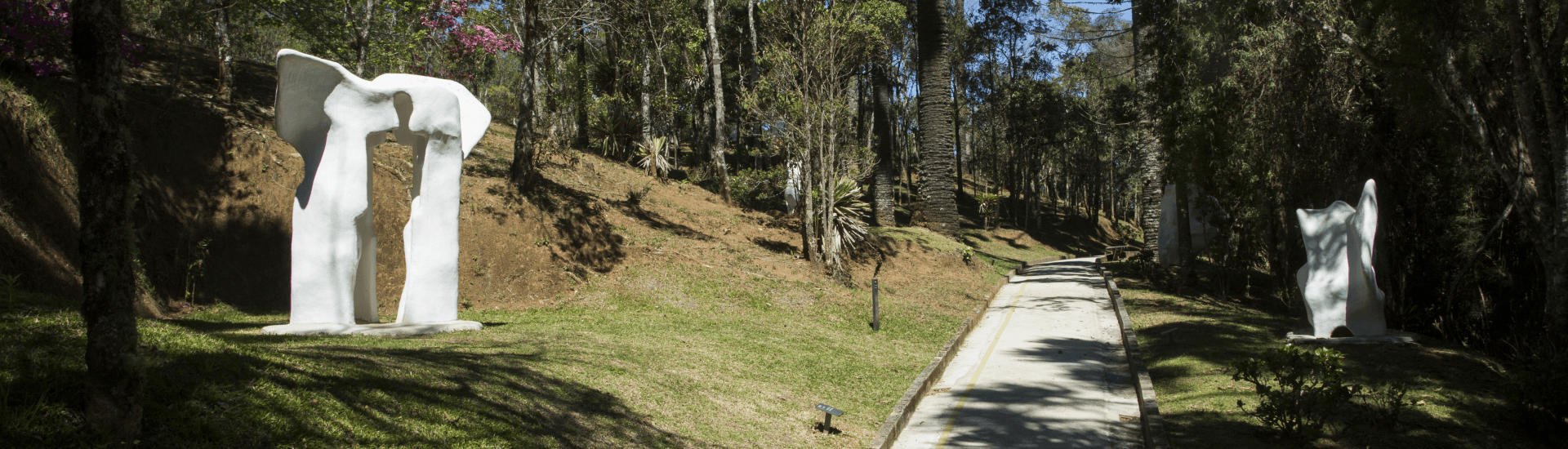 A imagem mostra uma alameda do Museu Felícia Leirner onde ao lado direto e esquerdo há esculturas brancas posicionadas em meio a natureza.