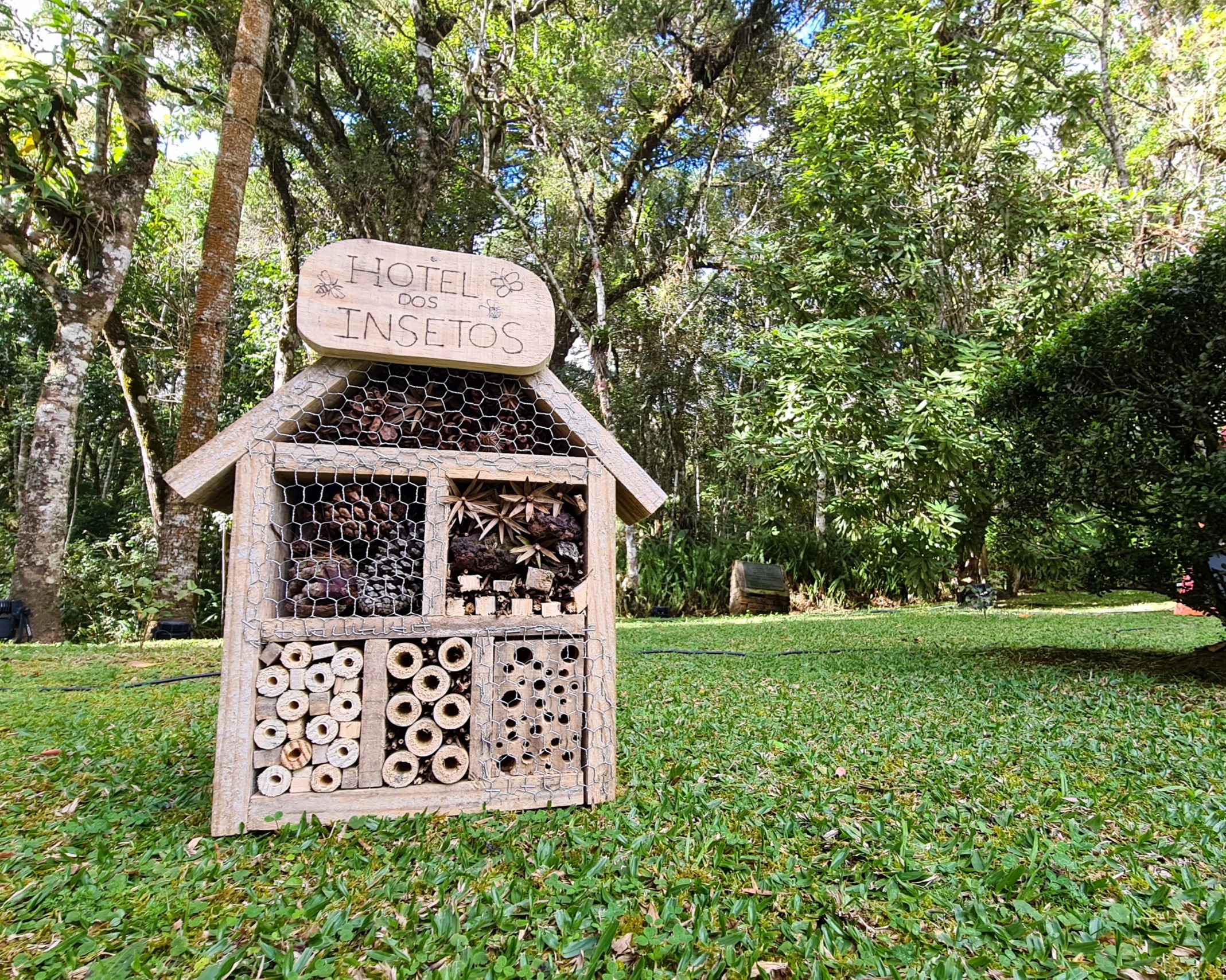 Na imagem há uma estrutura de madeira em formato de casa, na qual há 5 repartimentos com pedaços de madeira, pinha, matos e garras de pinheiro. No topo da casinha de madeira tem uma placa que está escrito Hotel dos Insetos. O fundo da imagem contem um gramado, árvores e arbustos.