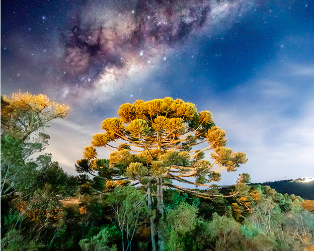 Na arte há foto do céu noturno que mostra uma araucária e estrelas nos céu. Ao lado esquerdo está escrito: "Encontros com Arte: Oficina de Astrofotografia com o fotógrafo Luís Felipe. Dia 26 de agosto, das 19h às 23h. Gratuito. Certificado de 4 horas. Inscrições: (12) 3662-6000"