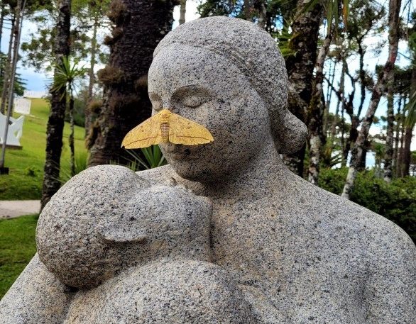 Relação entre as borboletas e mariposas com as esculturas da artista Felícia Leirner e qual a sua influência nas visitas educativas