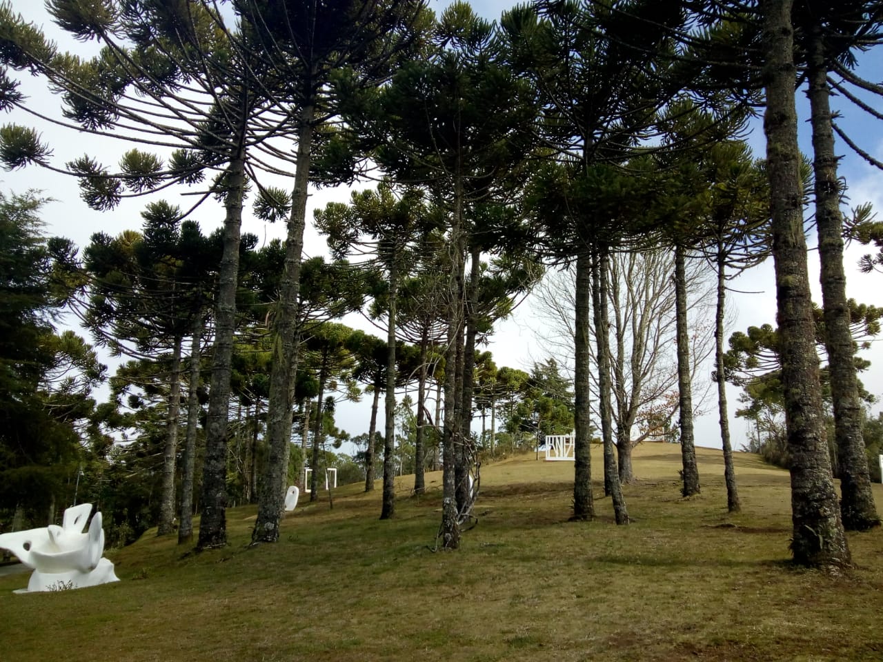 Educação Ambiental: é preciso conhecer para preservar!