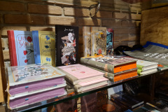 Na foto há uma prateleira de vidro com livros de capa dura empilhados e outros livros em pé, em amostra.
